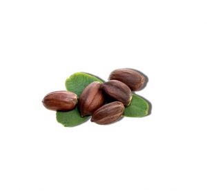 Jojoba seed oil